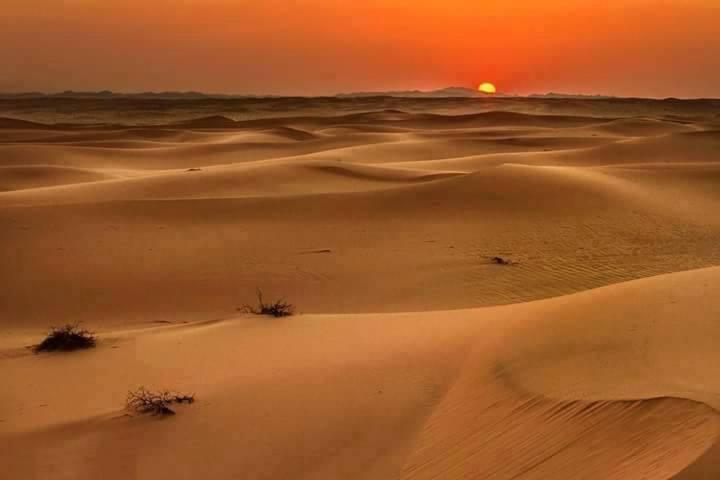 Camp Sahara Holidays M'Hamid Exterior photo