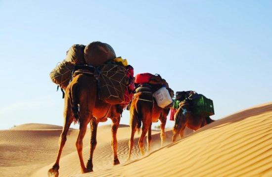 Camp Sahara Holidays M'Hamid Exterior photo