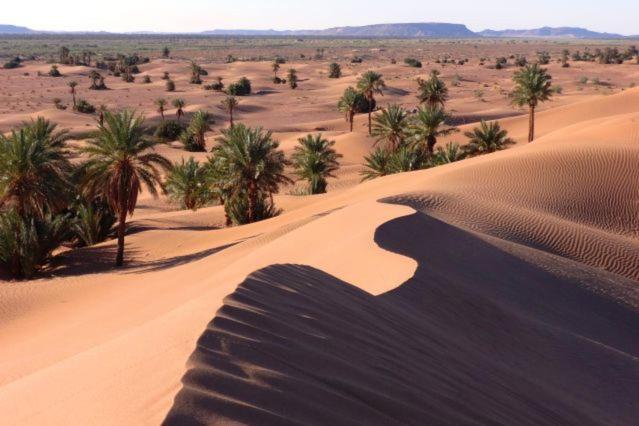 Camp Sahara Holidays M'Hamid Exterior photo