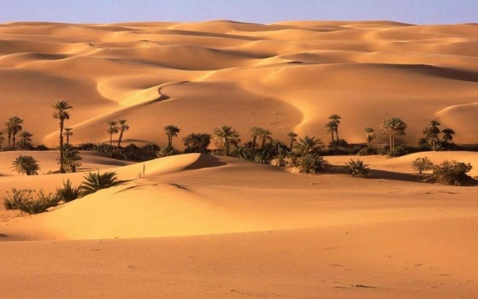 Camp Sahara Holidays M'Hamid Exterior photo