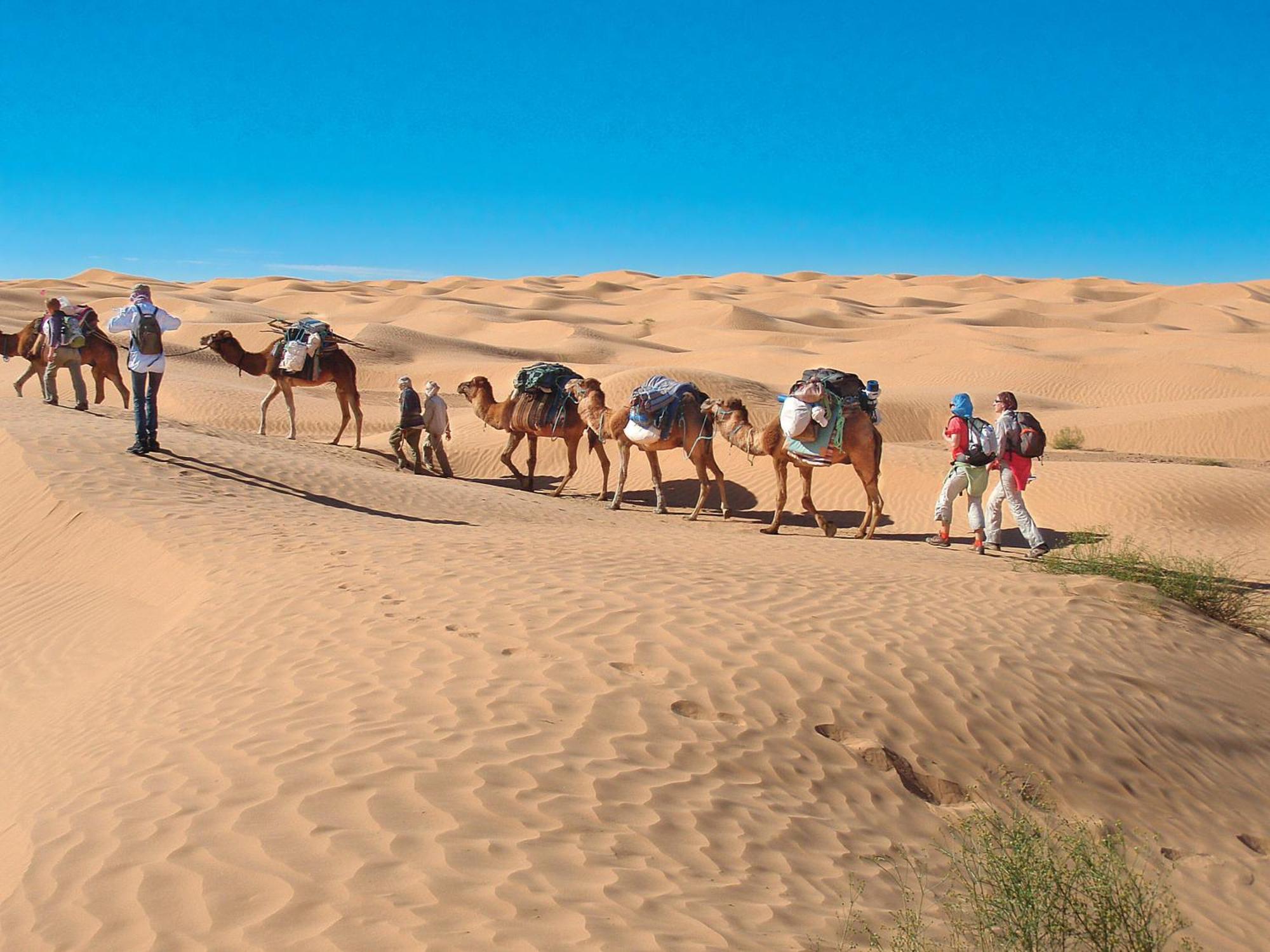 Camp Sahara Holidays M'Hamid Exterior photo
