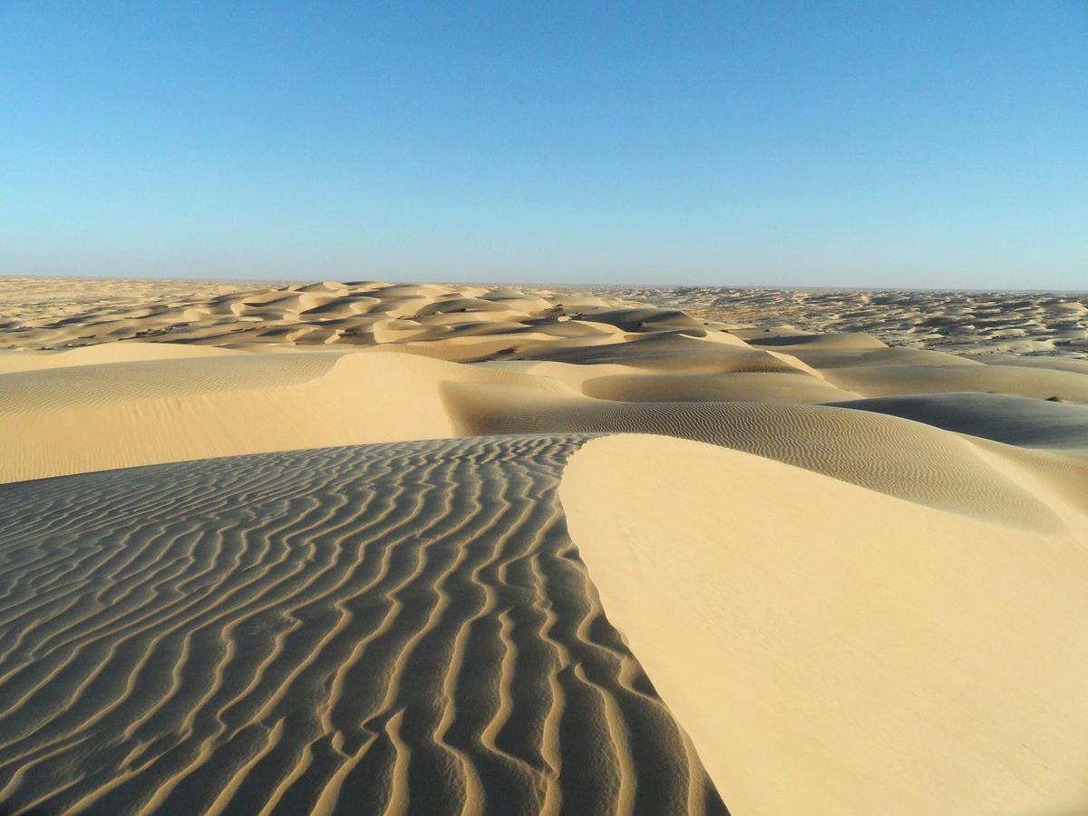 Camp Sahara Holidays M'Hamid Exterior photo