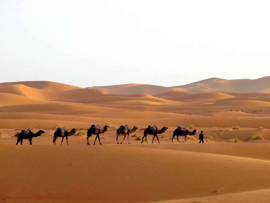 Camp Sahara Holidays M'Hamid Exterior photo