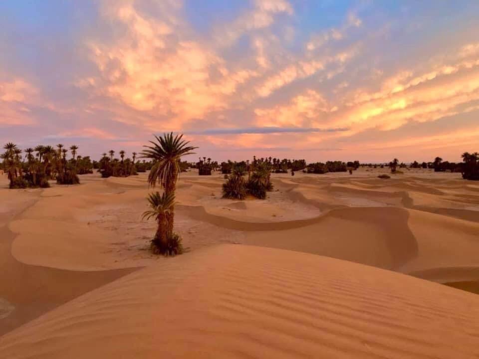 Camp Sahara Holidays M'Hamid Exterior photo